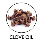 CLOVE OIL SILVER BOOSTER INGREDIENT