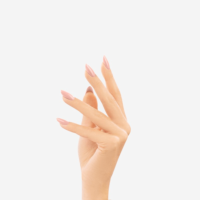 Salon Gel Polish 115 Rose Seashell