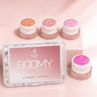 Victoria VYNN Boomy Ombre Kit of 4 + Sponges & Gripper Free